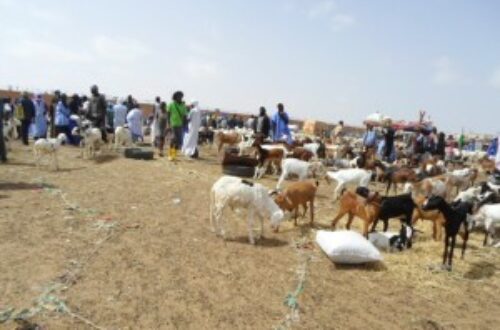 Article : Les mauritaniens pris dans le tourbillon des préparatifs de l’Aid