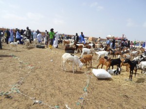 Article : Les mauritaniens pris dans le tourbillon des préparatifs de l’Aid