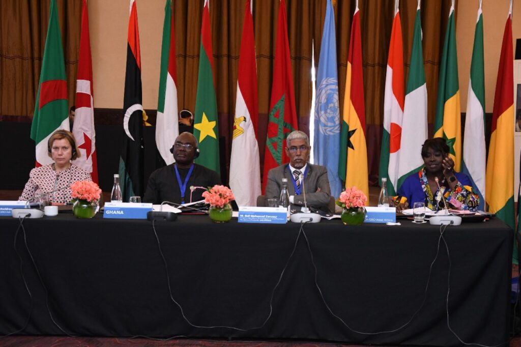 Article : Clôture à Marrakech  de la réunion des experts de la CEA